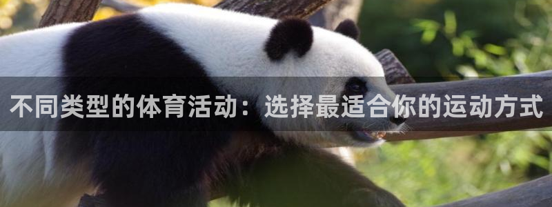 678体育官网下载