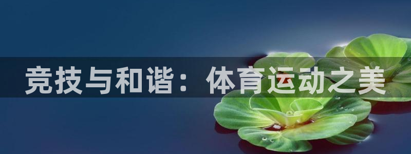 678体育官网地址