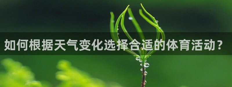 678体育知识：如何根据天气变化选择合适的体育活动？