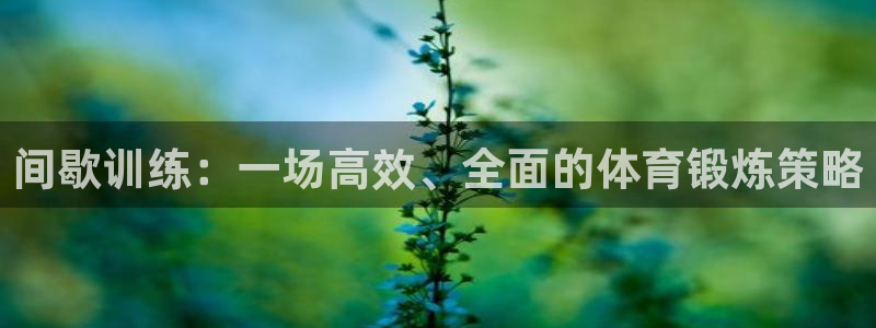 678体育官网下载