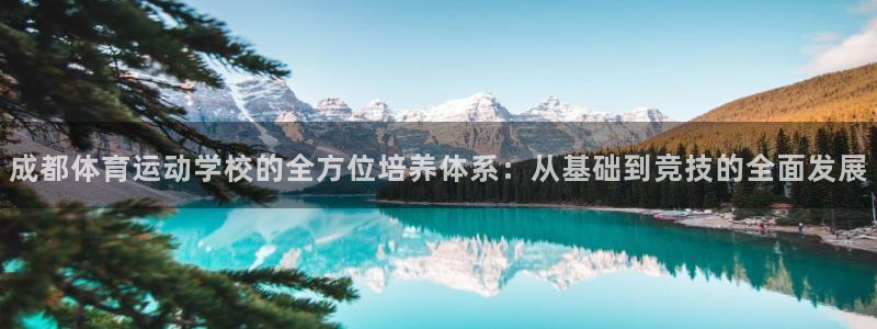 678体育app