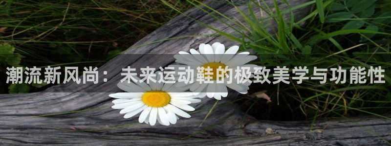 678体育官网：潮流新风尚：未来运动鞋的极致美学与功能性