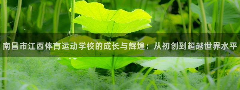 皇冠678体育
