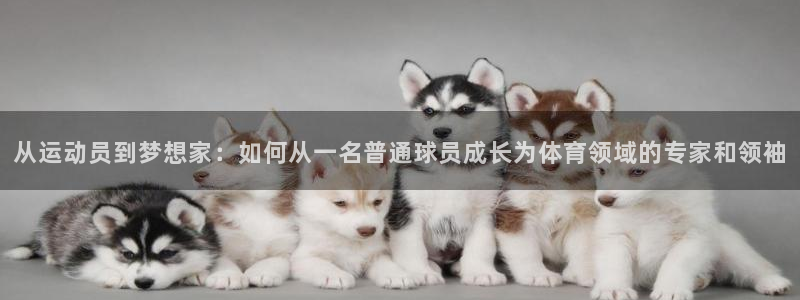 678体育：从运动员到梦想家：如何从一名普通球员成长为体育领域的专家和领袖