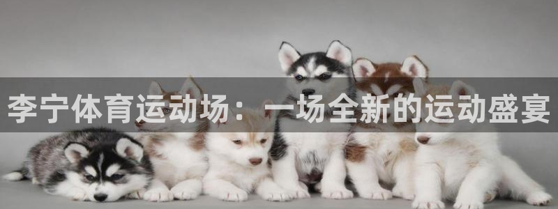 678体育知识：李宁体育运动场：一场全新的运动盛宴